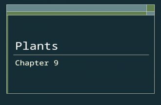 Chapter 9-Plants