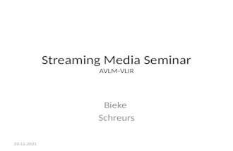 Streaming Media Seminar by Bieke