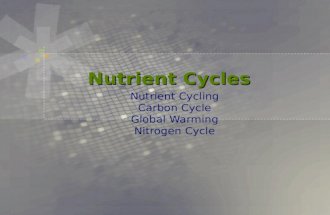 Week 11 nutrient cycles