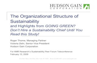 Org Structure & Sustainability Amr 20090212