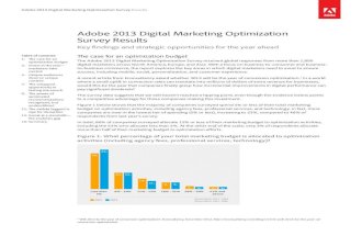 Digital Marketing Optimization Survey