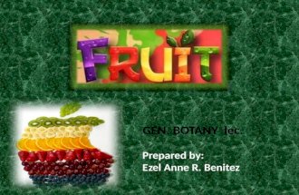 Botany fruits