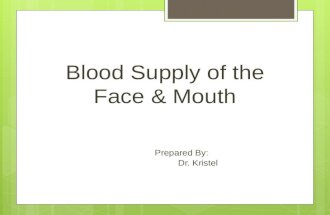 Blood Supply of the Face & Mouth