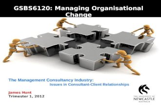 The Management Consultancy Industry