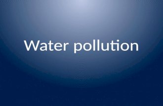 Water Pollution Abu Dhabi
