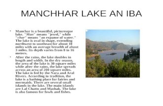 Manchhar lake an iba 2
