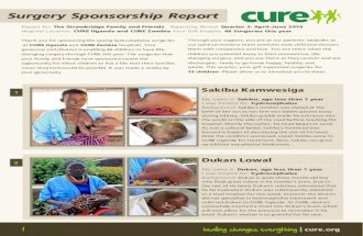 Strawbridge Surgery Sponsorship Report