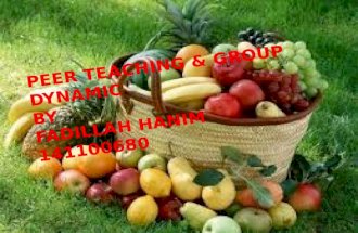 Peer Teaching & Group Dynamic by Fadillah hanim