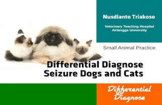 Differential Seizures - Small Animal Medicine