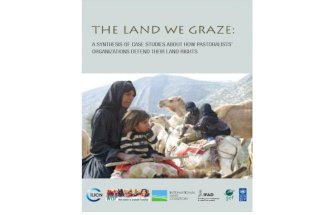 The Land We Graze: A Synthesis of Case Studies About How Pastoralists’ Orga…