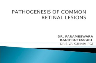 Retinal lesions Pathophysiology