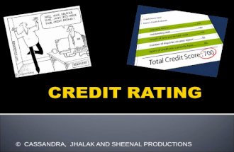 CM 1 Credit Rating