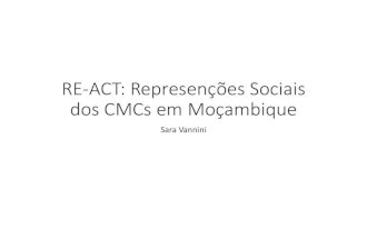 RE-ACT final Workshop in Maputo: Social Representations of CMCs in Mozambique - results from 3 analyses