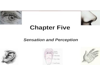 Psyc 2301 chapter five powerpoint 1(1)(1)