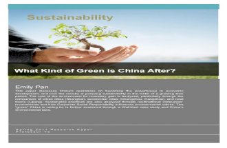 What Kind of Green is China After?