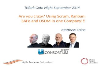 Are you crazy? Using Scrum, Kanban, SAFe and DSDM in one Company!!!