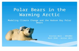 Polar Bear Math Modeling Presentation