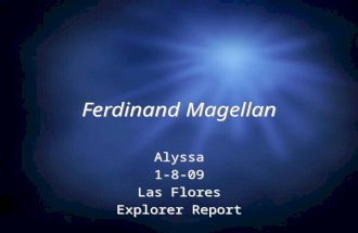 Alyssa Explorer Report