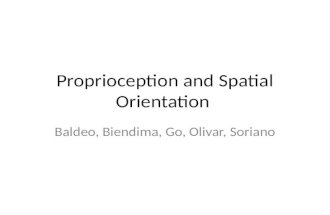 Proprioception and spatial orientation