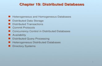 19 distributed databases