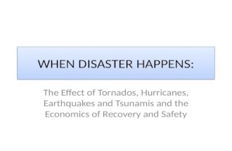 When Disaster Happens