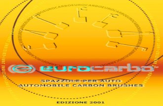 Eurocarbo Spazzole per auto
