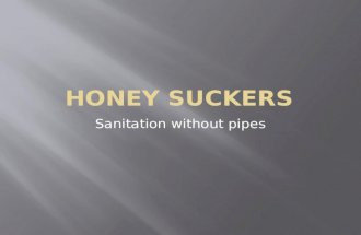 Honey-suckers - Sanitation solutions in Bangalore