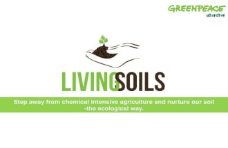 Greenpeace India Living Soils Project