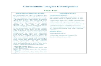 Curriculum project devlopment ECEP_229