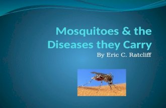 Mosquitos and the Diseases they Carry