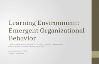 Learning Environment: Emergent Organizational Behavior