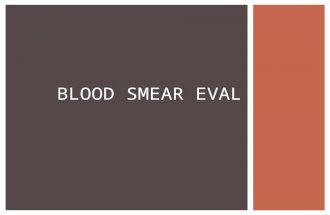 Blood smear evaluation