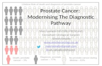 Prostate cancer   modernising the diagnostic pathway 2013-06-11 by Marc Laniado