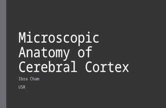 Microscopic anatomy of cerebral cortex