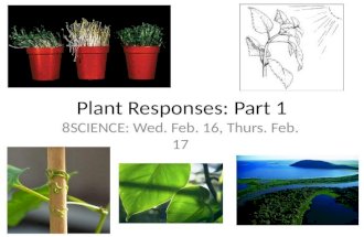 Plant responses part1