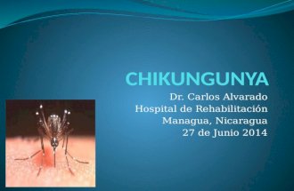 Chikungunya Junio 2014