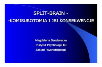 11 Split-Brain M