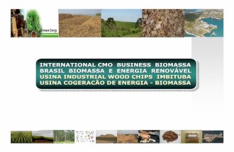 International CMO Brasil Biomassa Unidade Wood Chips-Cogeracão Energia