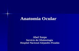 Clase Oftalmo 1 - Anatomia y Refraccion