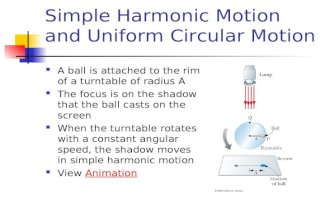 Physics(Simple Harmonic Motion