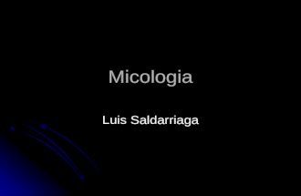 Atlas micología