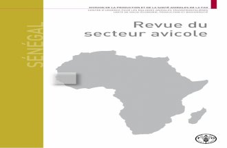 Revue du secteur avicole -Sénégal