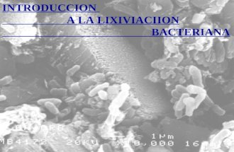 Introducción a la lixiviación bacteriana