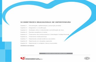 VI Diretrizes Brasileira de Hipertensão