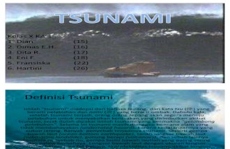 Tsunami Power Point (SuDrEAm)