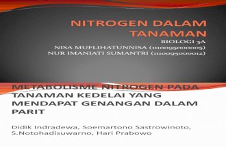 Nitrogen Dalam Tanaman