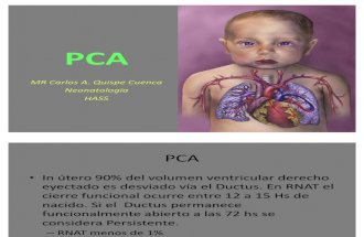 PCA neonatologia