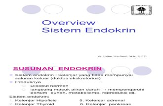 Endokrin 101101a Dr Erlina Overview Endokrin 2011