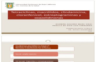 Tetraciclinas, macrólidos, clindamicina, cloranfenicol