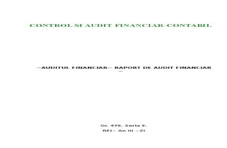Auditul Financiar - Raport de Audit Financiar